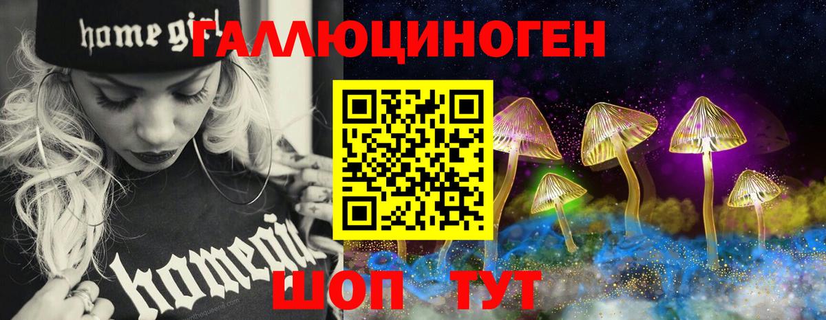 Псилоцибиновые грибы GOLDEN TEACHER Фурманов